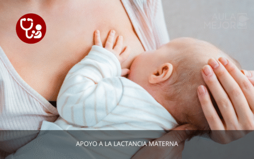 Apoyo a la Lactancia Materna