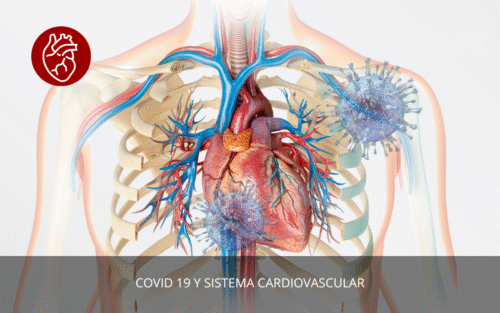 COVID 19 y Sistema cardiovascular