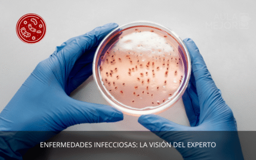 Enfermedades Infecciosas: La Visión del Experto