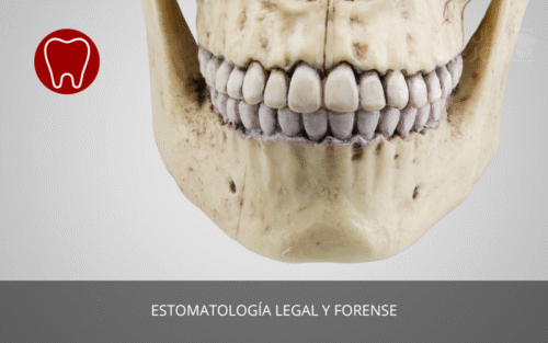Estomatología Legal y Forense