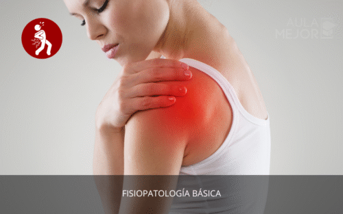 Fisiopatología Básica