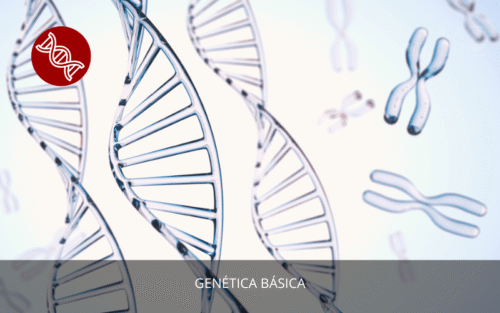 Genética Básica