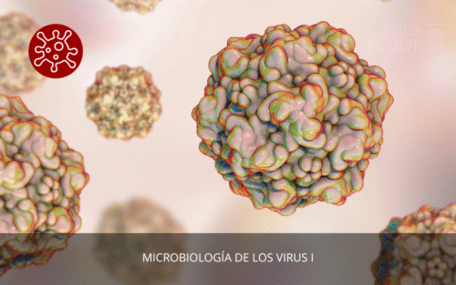 Microbiología de los Virus I