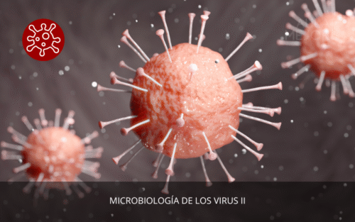 Microbiología de los Virus II