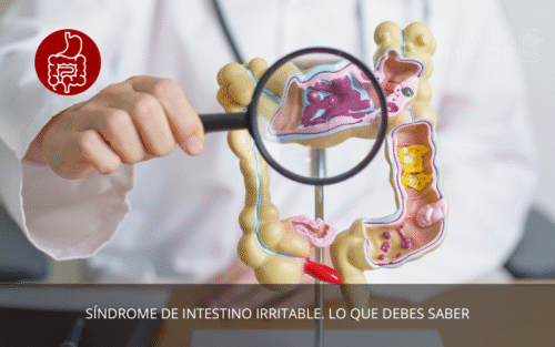 Síndrome de Intestino Irritable. Lo Que Debes Saber
