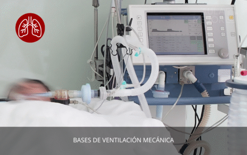 Bases de Ventilación Mecánica