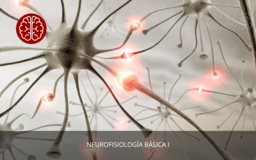 Neurofisiología Básica I