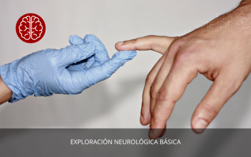 Exploración Neurológica Básica