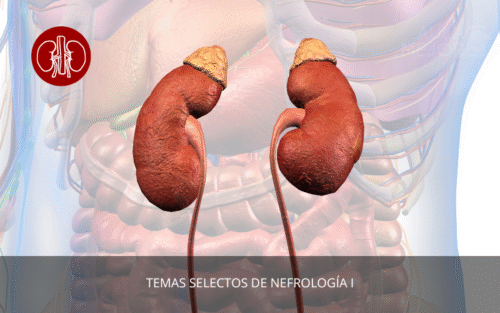Temas Selectos de Nefrología I
