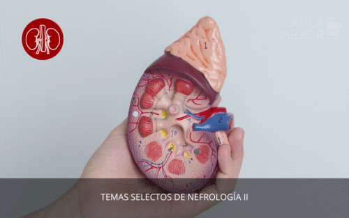 Temas Selectos de Nefrología II