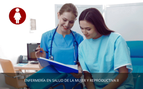 Enfermería en Salud de la Mujer y Reproductiva II