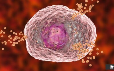 Procesos celulares: Cómo las células absorben, degradan y eliminan moléculas y bacterias