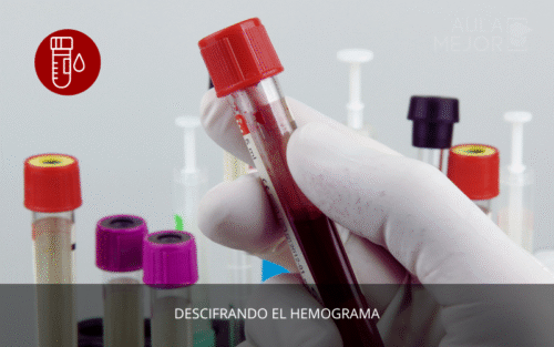Descifrando el Hemograma: Introducción y Utilidad Clínica
