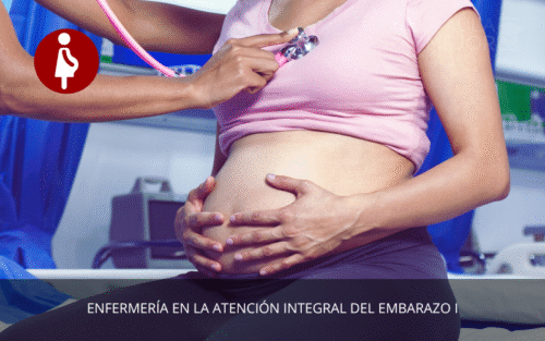 Enfermería en la Atención Integral del Embarazo I
