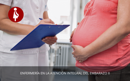 Enfermería en la Atención Integral del Embarazo II